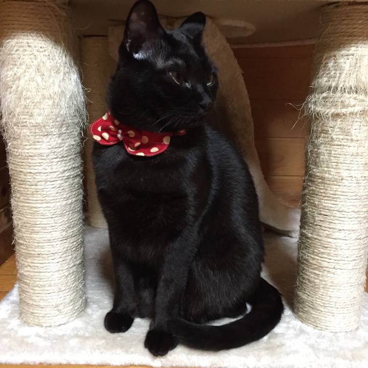 6b09da8c 920a 4067 ae28 b6d7a32eb6cf