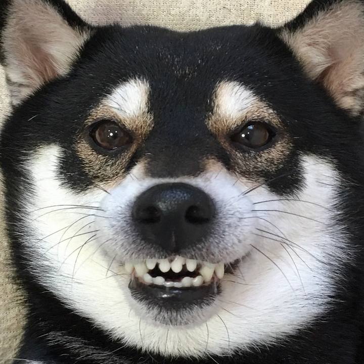 6b09e8b4 a802 4290 9bf3 5e96608ea6b0