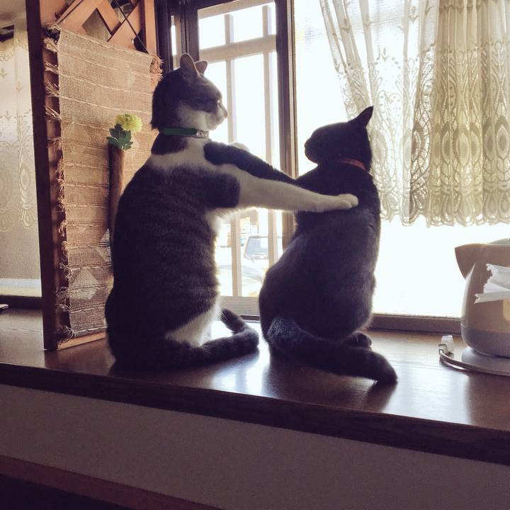 6b09e8e4 6369 41eb af88 73e63e2dd323