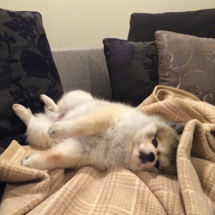 6b0a1b32 e693 47d6 861c 15aeea18cbab