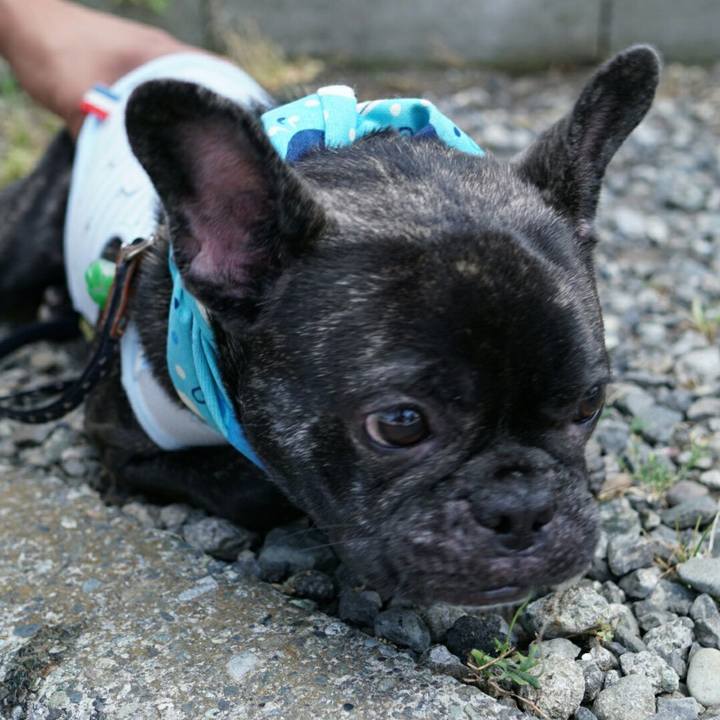 6b0a27bf 92c5 4588 9112 a25dd1c0fe06