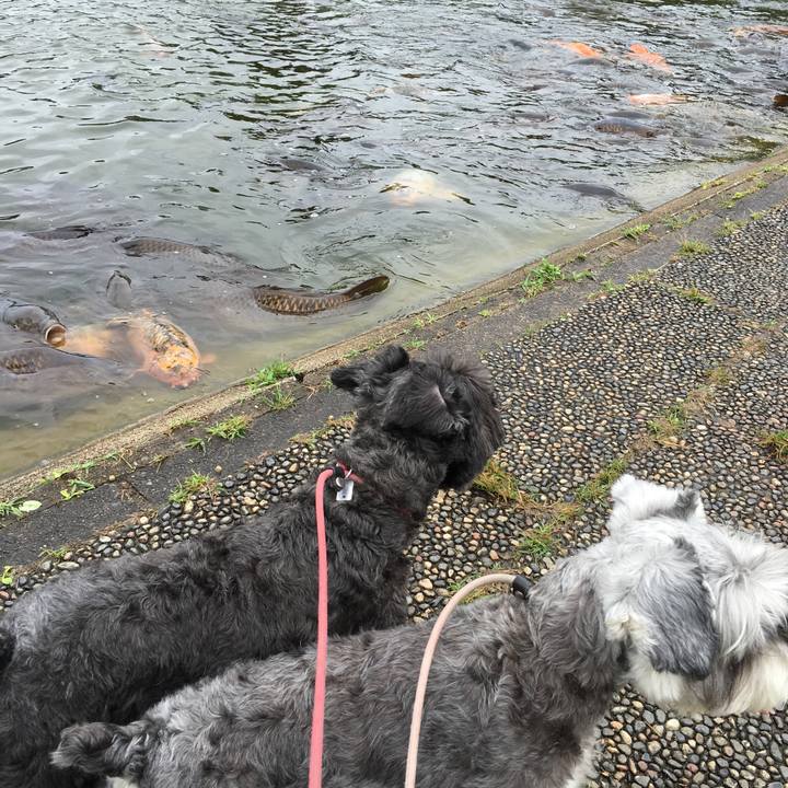 6b0a88c0 0a3a 47c8 a790 726b95d180f6