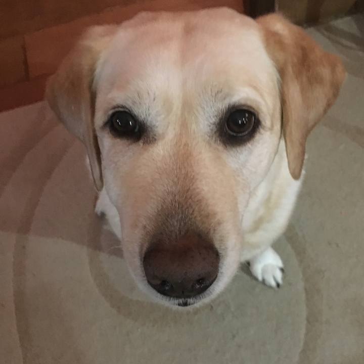 6b0ac3d0 acf5 4d68 ad25 a7108ecc2ff6