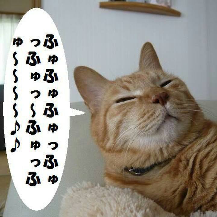 6b0ad6da 6709 4fc4 b01d f52d7821c607