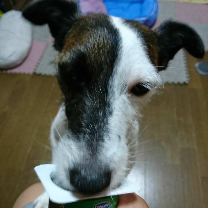 6b0b4eb9 d3f5 4255 8cd2 c8e549348cff