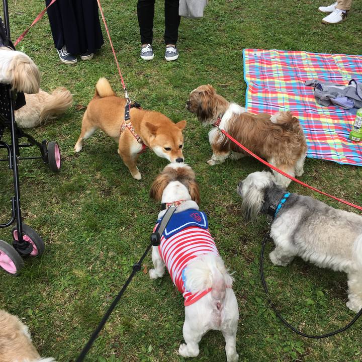 6b0b6af3 0976 4e4a 83a5 80a0ad143aed