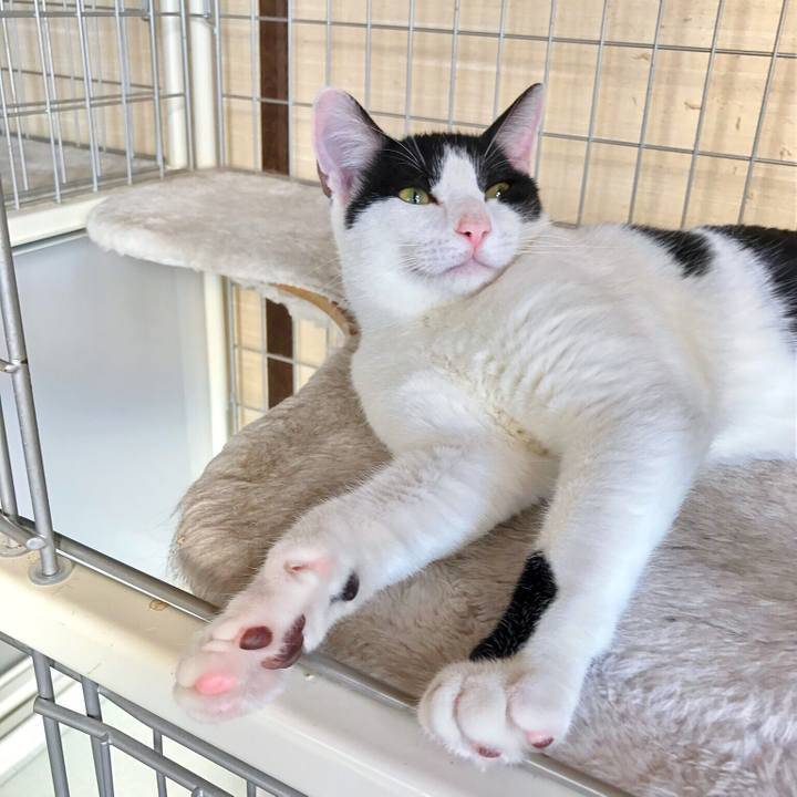 6b0b7464 08e5 48ba 9aec fae130c4f6f2