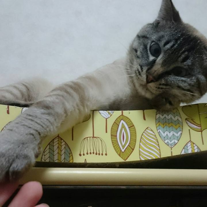 6b0b7e47 454f 4422 9791 eca954a40902