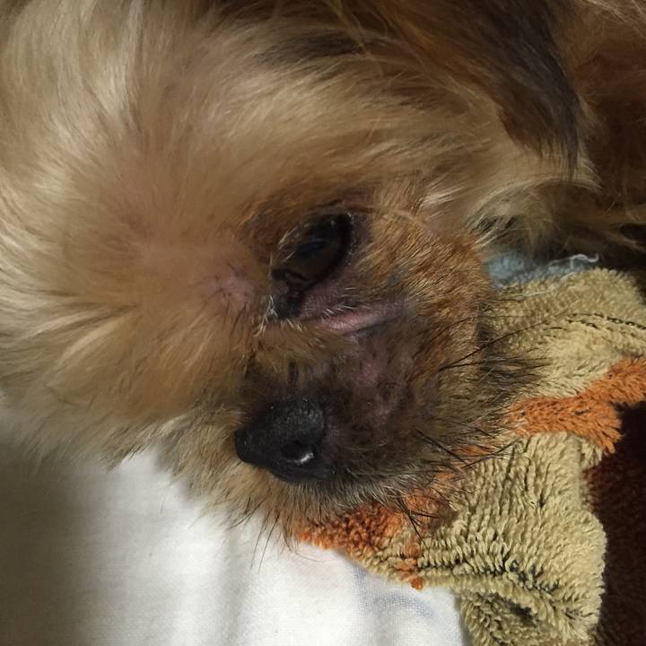 6b0bc797 d59e 43f3 b57f 8ecfc4482a2b