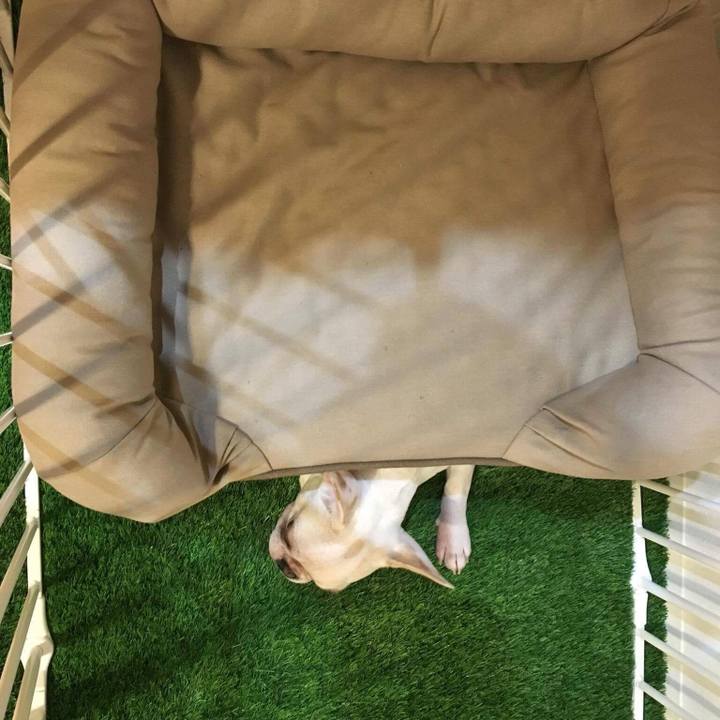 6b0bf25c 1241 4b1e bfda 2b3a9a00dfed