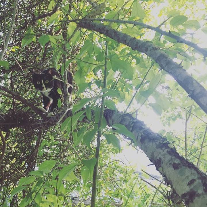 6b0c56a0 1c95 4725 96e8 c3acd8a9a380