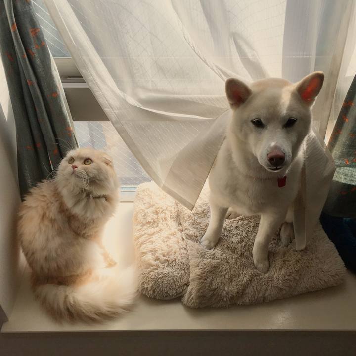 6b0c58f7 2ab0 49ac 86cf 18f55ace7136