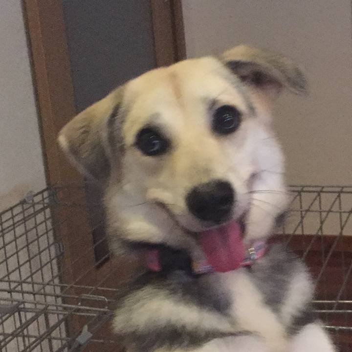 6b0d3b8b 50fe 4b65 9962 def3795a4f86