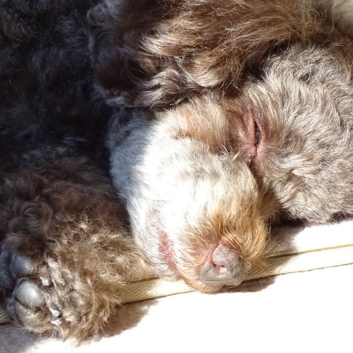 6b0d5e92 9c2f 43cb 8bcb 4a424f248e4b