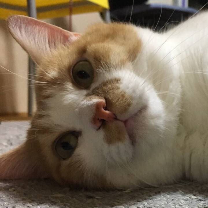 6b0d885f 8ada 439b 89e9 657bb4ae157f