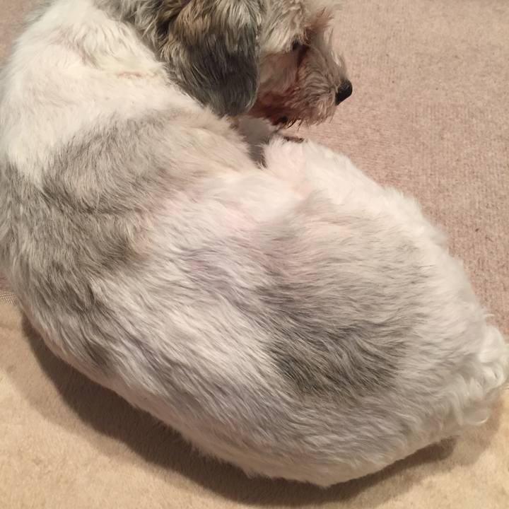 6b0e3db5 c098 4be7 89de e46939068e40