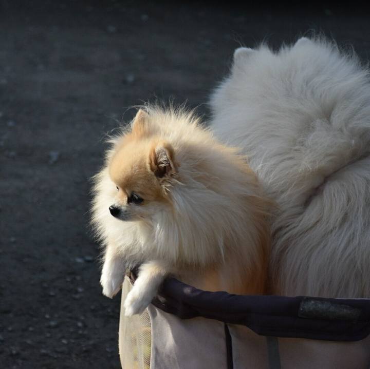 6b0e59c6 f43a 412f b156 2b1f53d23f6b