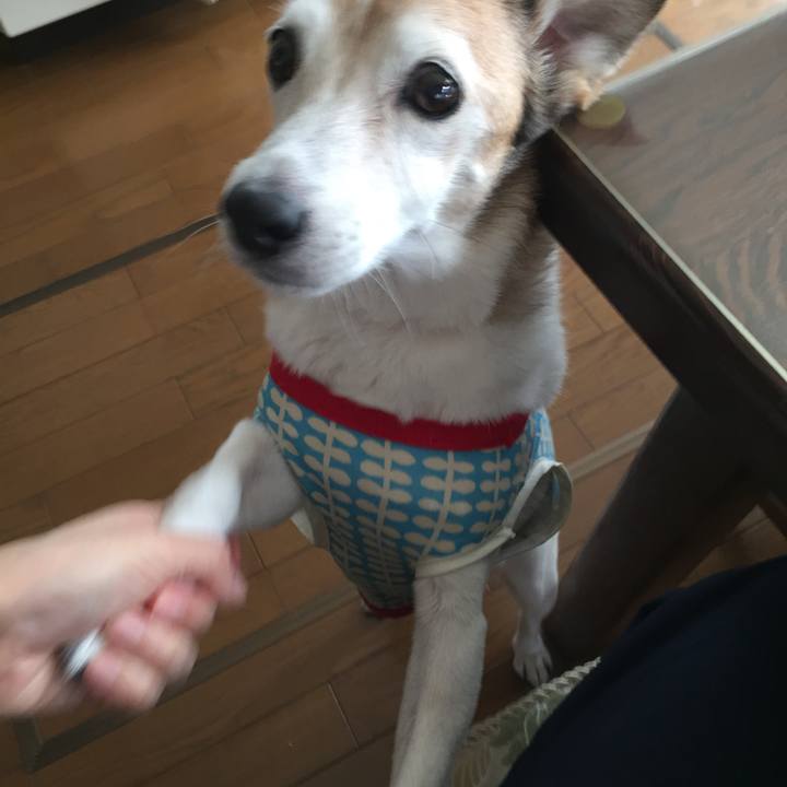 6b0f005f 0331 486f a4a6 8845842bbbca