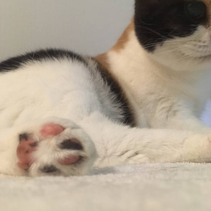 6b105e18 4432 41d3 9489 26b8aa8824d4