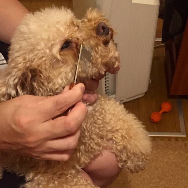 6b10609e 3fd5 4c78 9b4f 4a0dca9099e6