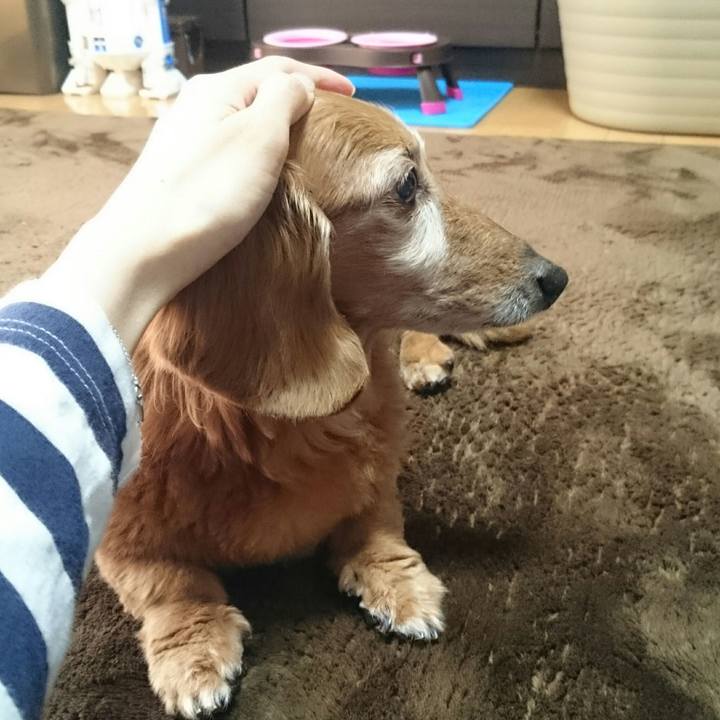 6b108aa3 f867 40a4 948d ce177f85ca3e