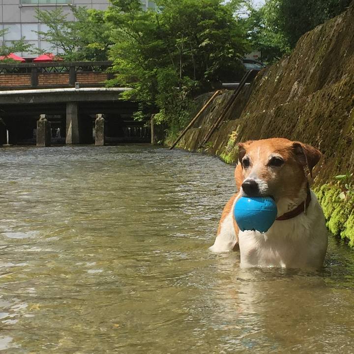 6b119f8d 45c8 49f8 935a fbda2cd36859