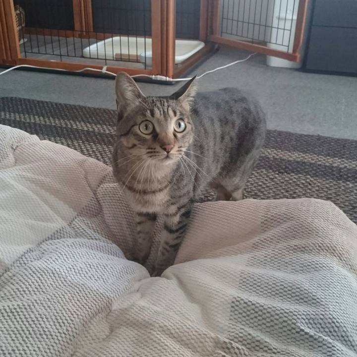 6b12289c 192e 4f1e 8ebb eeb662eb7e18