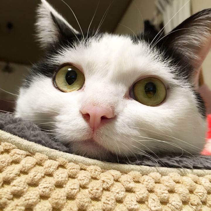 6b12cf33 3526 41dc a5fe d21523654424