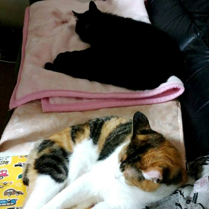 6b13225a 2abf 4def b226 b36b4da6391e