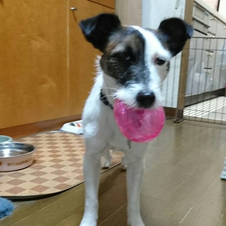 6b1322f8 9ecc 4713 be45 5cb506988991