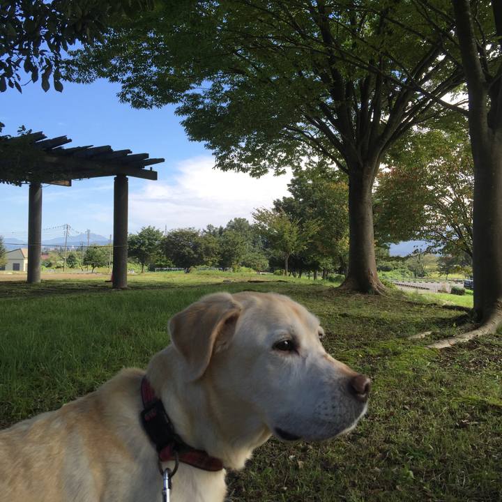 6b135ec0 7a60 49d9 8c60 d438f55b889f