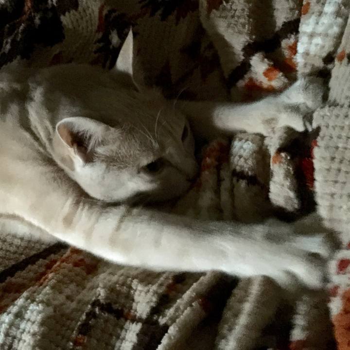 6b13a013 969c 4b04 afd0 f281cc9f9ae6