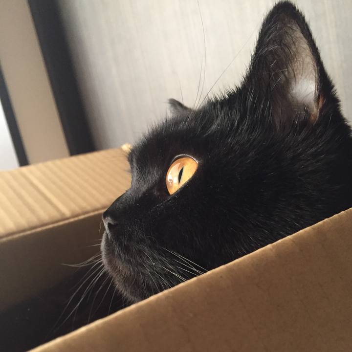 6b13b384 2190 458f b736 5484d42b6d25