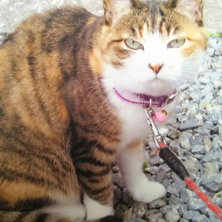 6b13d43c 30d7 4caa 86ab 1ff75f73afdc