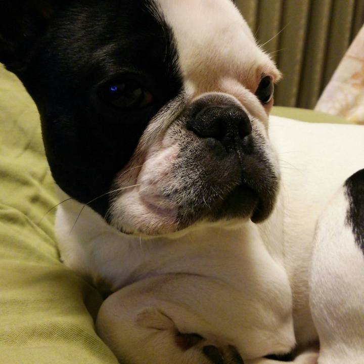 6b143eab ece6 4daa af4f 81ac0601205c