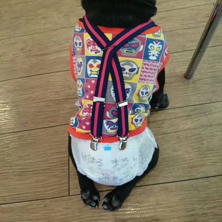 6b144979 9b0b 4472 be78 567dcf22f1b7