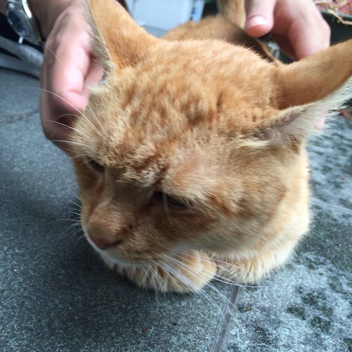 6b1467de 7517 46ab 96de 08ebe8444ecd