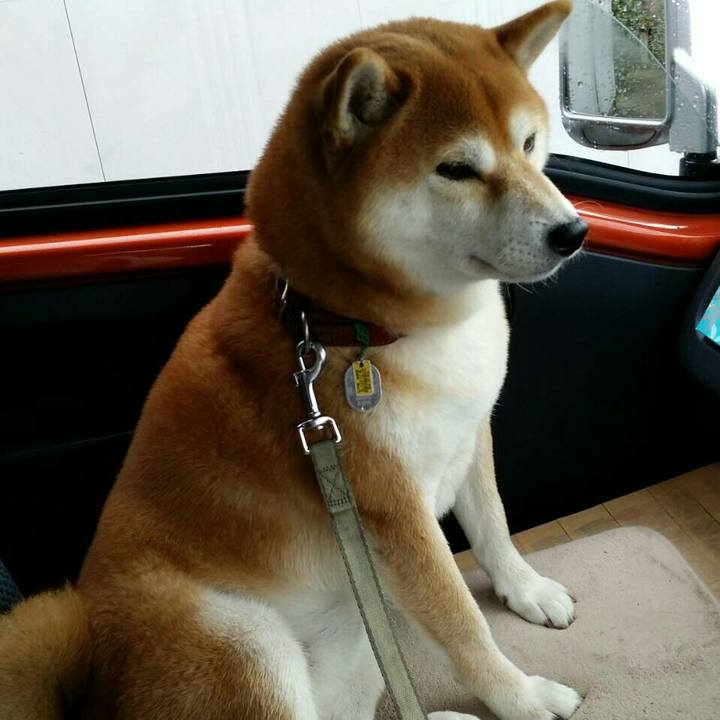 6b150e8f b8dd 4c4b b116 9d2249e8c8e4