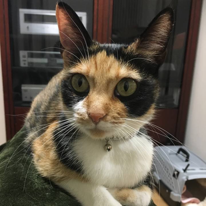 6b1547dd b7fa 4ebf 8def 7d50498462a9