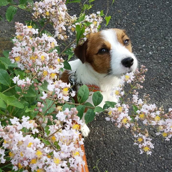 6b16bc11 bf5f 41e6 9d97 67c406e46199