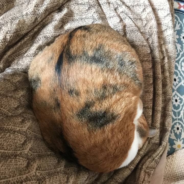 6b1749d6 4b88 4a74 b1b2 045ac2343066