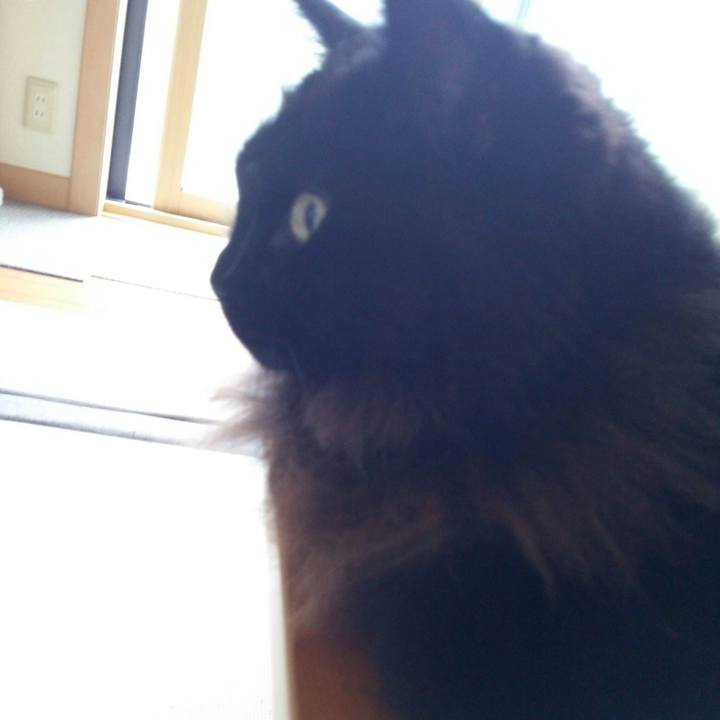 6b1773e8 8092 414b bb47 6f2c4e7bbb77