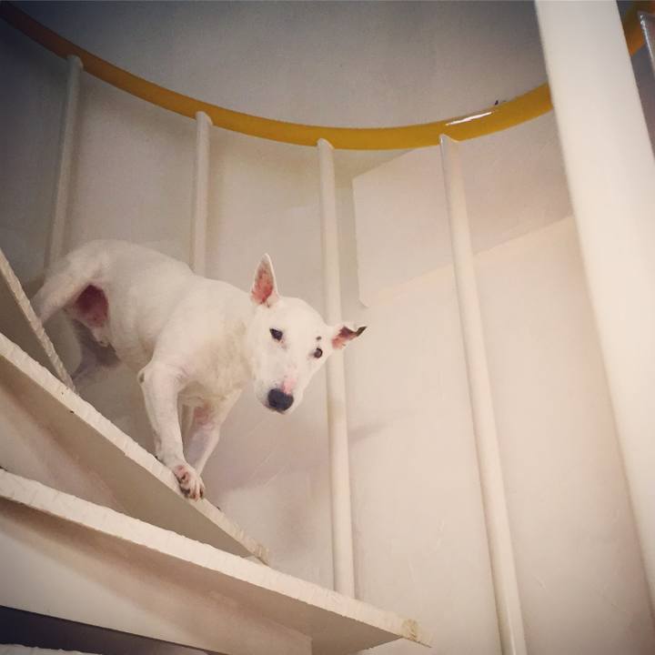 6b17cfc1 f0d1 4013 856a f63c4ed5f48e