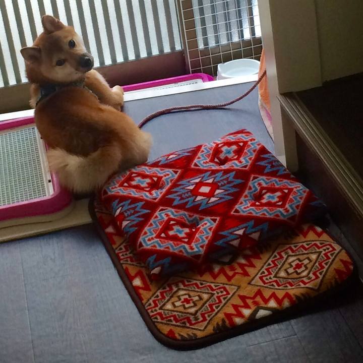 6b182fdf db1f 43f0 996a cd2ac46b5bd5