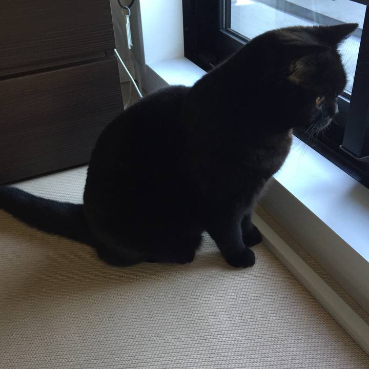 6b184540 2a16 4251 87ac 5ea7b7cc2a44