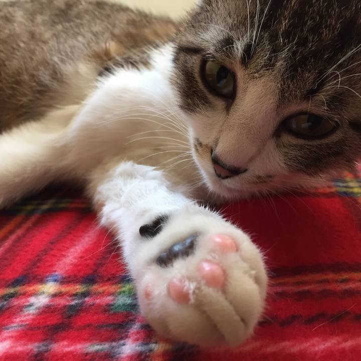 6b1928cb 9008 4e5e a9b3 176d5c42d432