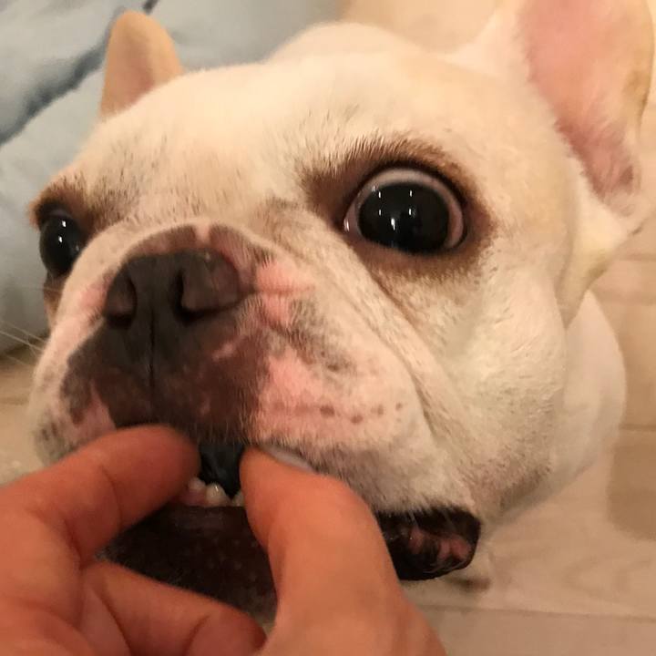 6b19e654 447b 4f21 8798 cc3b23d9f4fb