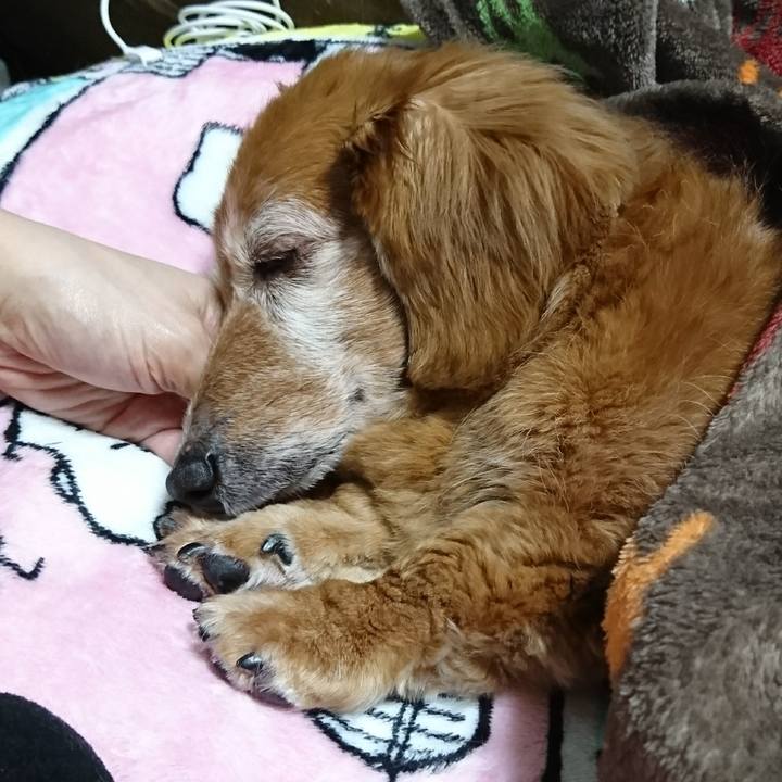 6b19e7cb f52a 4148 bc42 93661764f38a