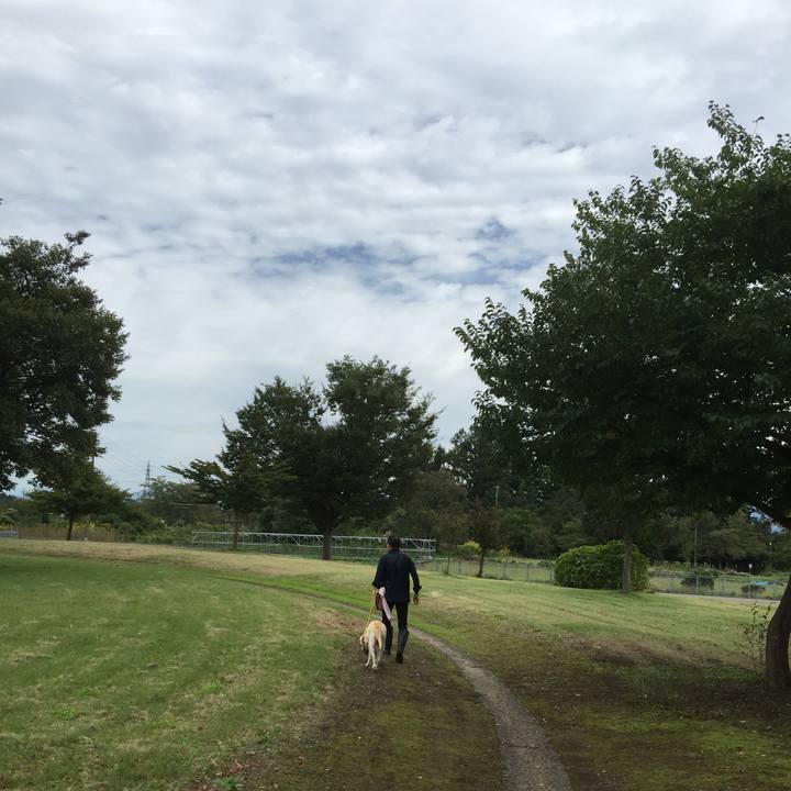 6b1a05d1 8d27 4fb4 a2db bb8149bb2c19