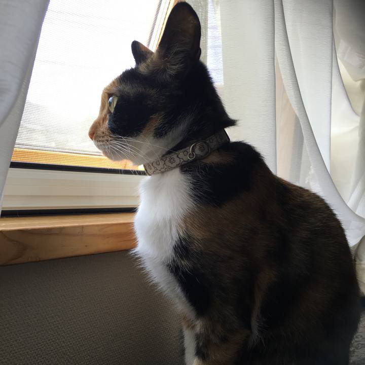 6b1a4e24 bd36 44a9 a758 27a441a4c3fd